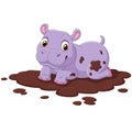 Cute hippo in the mud