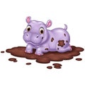 Cute hippo in the mud