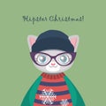 Cute hipster cat with an ugly Christmas sweater