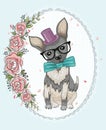 Cute hipster dog