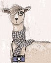 Cute hipster lama with photo camera