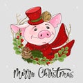 Cute holiday pig with Merry Christmas caption for posters, postcards