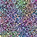 Holographic Leopard Print on Gradient Background