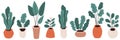 Cute home gardening horizontal banner background, trendy hand drawn plants in pots in simple flat style