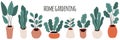 Cute home gardening horizontal banner background, trendy hand drawn plants in pots in simple flat style