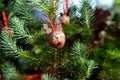 Cute home-made reindeer Christmas decoration from walnut shell o