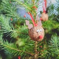 Cute home-made reindeer Christmas decoration from walnut shell o