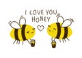 Cute honey bees isolated