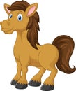 Cute horse cartoon