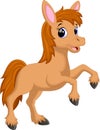 Cute horse cartoon