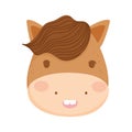 Cute horse face domestic farm animal cartoon