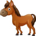 Cute horse pony cartoon