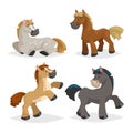 Cute horses in various poses. Cartoon style farm animals. Different colors and breeds. Slleeping, standing, riding and walking hor