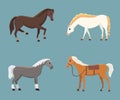 Cute horses in various poses vector design. Cartoon farm wild isolated horse and different silhouette of flat pony Royalty Free Stock Photo