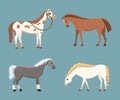 Cute horses in various poses vector design. Cartoon farm wild isolated horse and different silhouette of flat pony