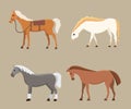 Cute horses in various poses vector design. Cartoon farm wild isolated horse and different silhouette of flat pony Royalty Free Stock Photo