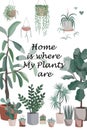 Cute homeplant pots, cactuses and succulents. Home is where my plants are text. Flat style vector illustration