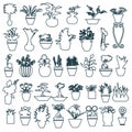 Cute house plants in pots hand-drawing
