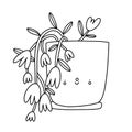 Cute houseplant in a pot, outline cartoon vector character