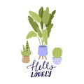 Cute houseplants growing in pots with creative typography. Print with Hello lovely inspirational text message.