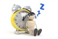 Cute human sleep in clock
