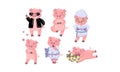 Cute humanized pink pig in different looks and clothes. Vector illustration.