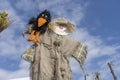 Cute humanoid scarecrow together with a crow on a background of blue sky, Ukraine. Close up