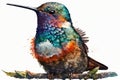 Cute Hummingbird Watercolor Sublimation. Ultra High Realistic.