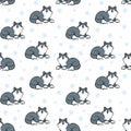 cute husky dog pattern