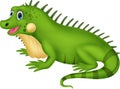 Cute iguana cartoon