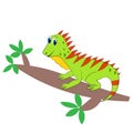 Cute iguana CARTOON   illustration vector Royalty Free Stock Photo