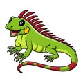 Cute iguana cartoon posing with smile Royalty Free Stock Photo