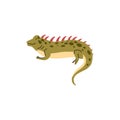 Cute iguana, flat vector illustration isolated on white background. Royalty Free Stock Photo