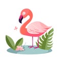Cute illustrated pink flamingo. Vector Illustration. EPS10