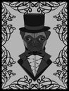 Cute illustration with a pug in old-fashioned tuxedo and cylinder