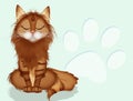 Illustration of red maine coon cat Royalty Free Stock Photo