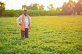 Cute Indian baby boy playing at gardenIndian farmer at the chickpea field Royalty Free Stock Photo