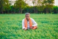 Cute Indian baby boy playing at gardenIndian farmer at the chickpea field Royalty Free Stock Photo