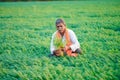 Cute Indian baby boy playing at gardenIndian farmer at the chickpea field Royalty Free Stock Photo