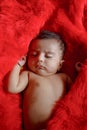 Cute Indian baby girl sleeping on bed Royalty Free Stock Photo