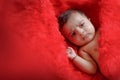 Cute Indian baby girl sleeping on bed Royalty Free Stock Photo