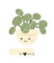 Cute indoor potted plant with greeting