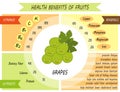 Cute infographic page of Health Benefits of fruits