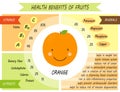 Cute infographic page of Health Benefits of fruits