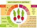 Cute infographic page of Health Benefits of vegetables