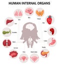 Cute infographics anatomy human body. Visual scheme internal female organs with cartoon characters, their names and