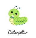 Cute insect caterpillar, cartoon character vector illustration Royalty Free Stock Photo