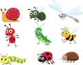 Cute insect collection set