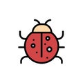 Cute, Insect, Ladybug, Nature, Spring  Flat Color Icon. Vector icon banner Template Royalty Free Stock Photo