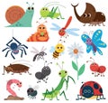 Cute insect set